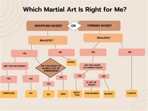 What is the Most Effective Martial Art: A Multi-perspective Analysis